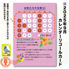 calcard2509