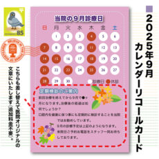 calcard2509