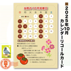 calcard2510