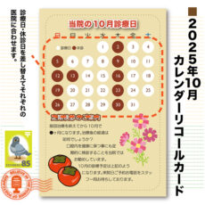 calcard2510